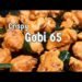 gobi 65